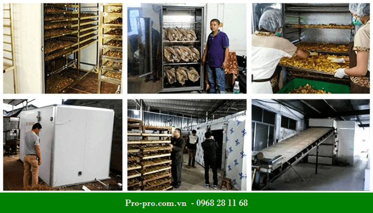Máy sấy trái cây công nghiệp